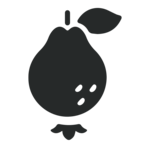 GUAVA